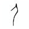 Oracle Bone Script: 匕 - 1