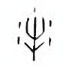 Oracle Bone Script: 牛 - 0