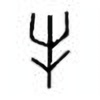 Oracle Bone Script: 牛 - 1