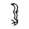 Oracle Bone Script: 疋 - 3