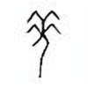 Oracle Bone Script: 羌 - 1