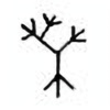 Oracle Bone Script: 桑 - 1