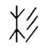 Oracle Bone Script: 杉 - 0