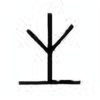 Oracle Bone Script: 生 - 0