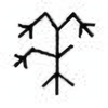 Oracle Bone Script: 黍 - 2