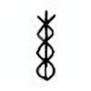 Oracle Bone Script: 束 - 4