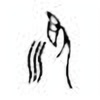 Oracle Bone Script: 顺 - 0