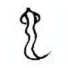 Oracle Bone Script: 它 - 0