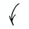 Oracle Bone Script: 危 - 4