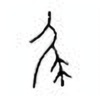 Oracle Bone Script: 尾 - 0