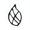 Oracle Bone Script: 西 - 3