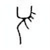 Oracle Bone Script: 须 - 0