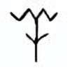 Oracle Bone Script: 羊 - 0